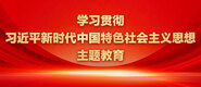 逼屁股学习贯彻习近平新时代中国特色社会主义思想主题教育_fororder_ad-371X160(2)